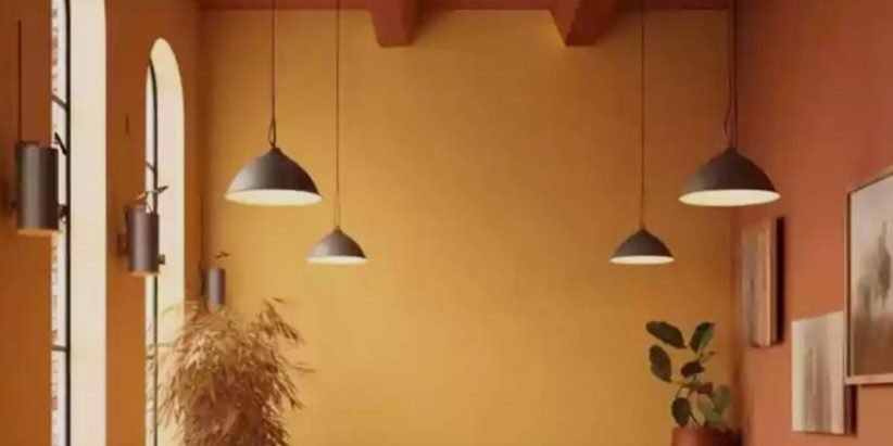 WhatsApp Image 2023-06-30 at 1.31.17 PM